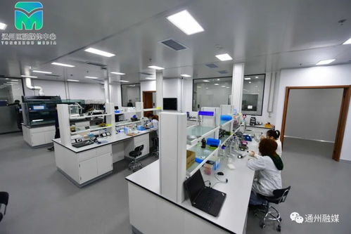 全市最大城市副中心国际种业科技园区研发中心正式投用 信息技术引领种业新未来